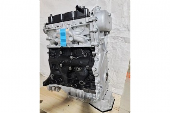 Engine long block GW4C20B